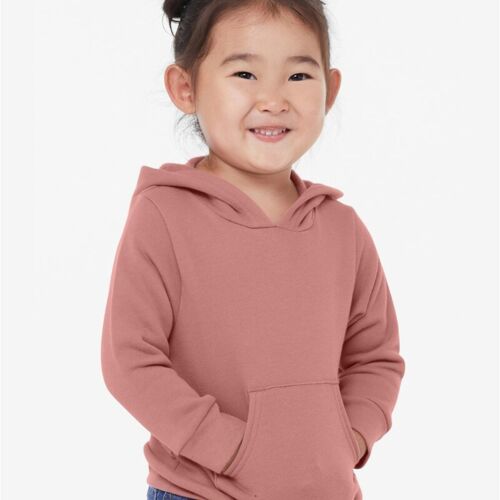 Toddler Sponge Fleece Pullover Hoodie Sweatshirt Thumbnail