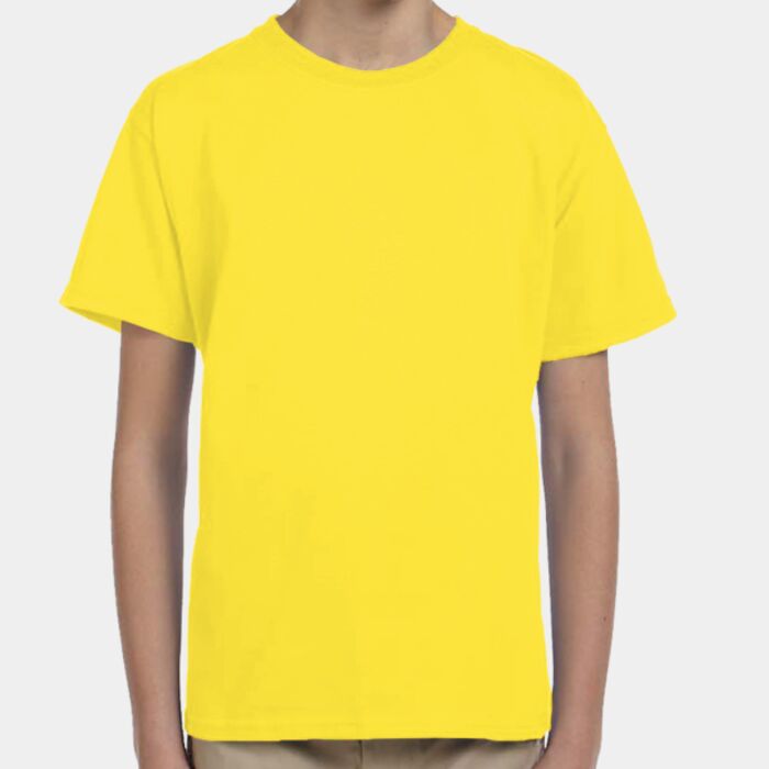 Fruit of the Loom Youth HD Cotton™ T-Shirt 3931B Youth HD Cotton™ T-Shirt Thumbnail