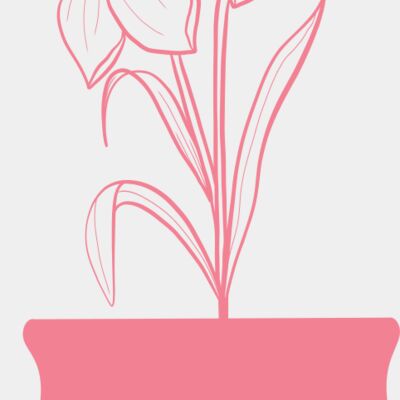 Flowers 4 Thumbnail